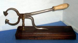 Nippers with circular grip and sharp points, with handle to press towards wooden stand